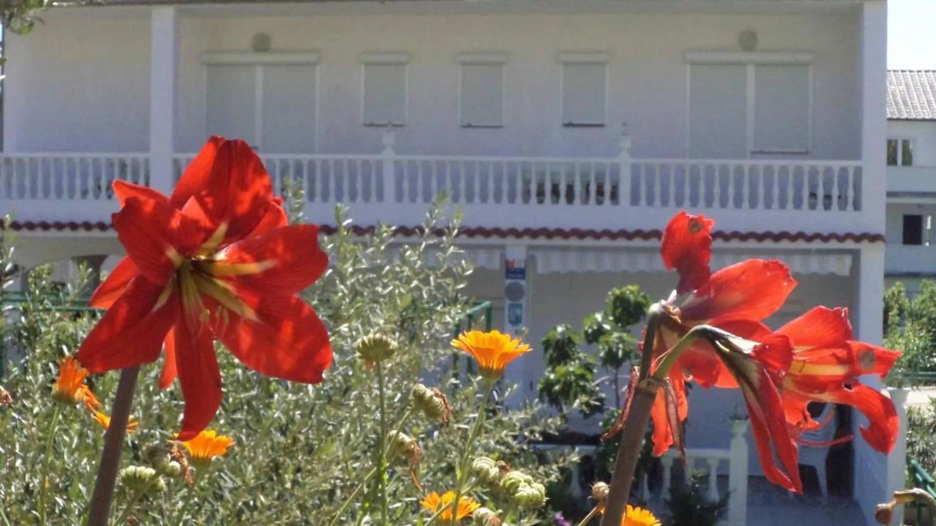 Sunny Rab Apartment With 2 Bedrooms Palit